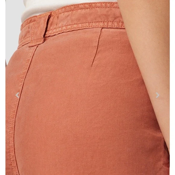 Hudson Size 34 Drawstring Bronze Pants NWT - Picture 4 of 9